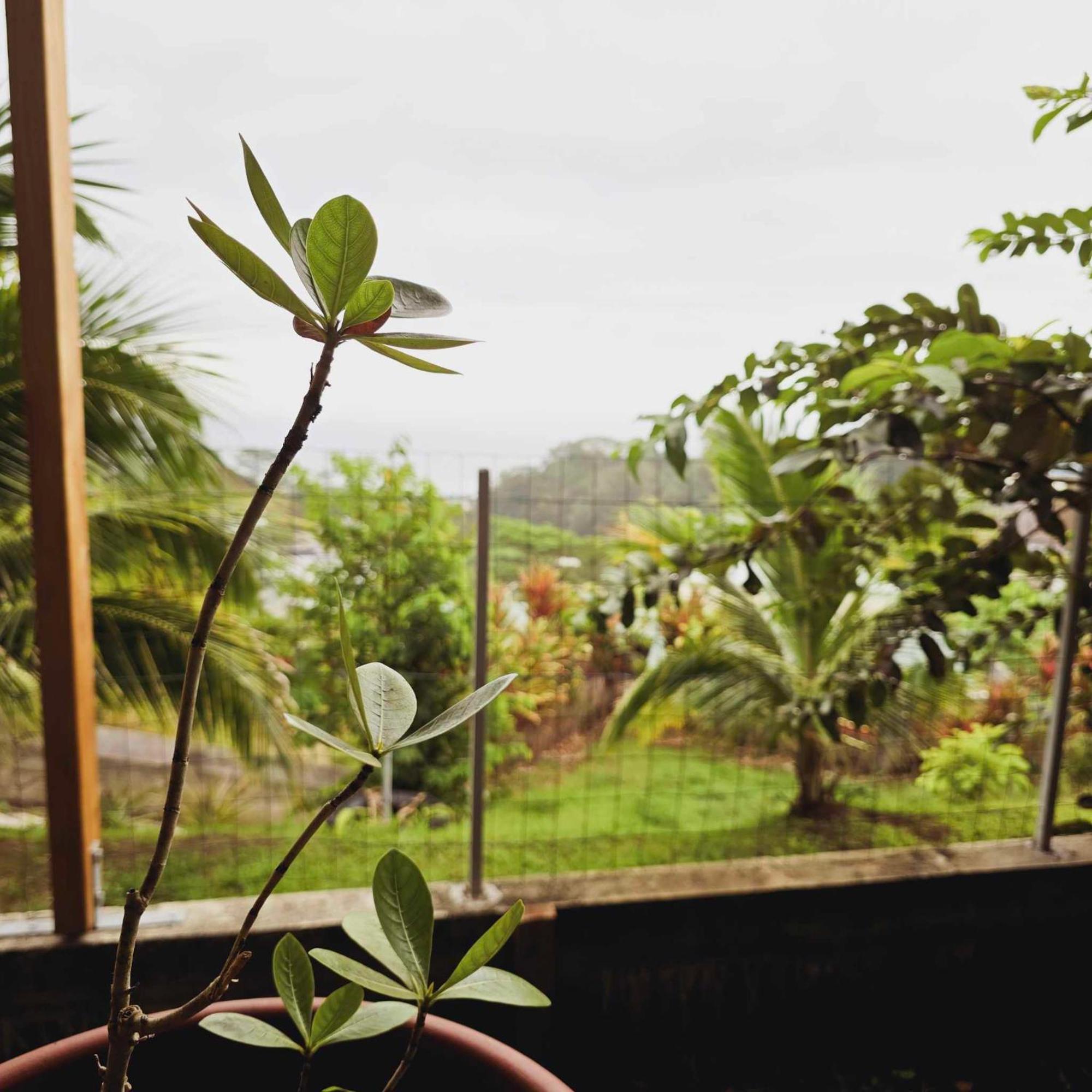 Fare Toahana, Accommodation With A Ocean View Faaa Buitenkant foto